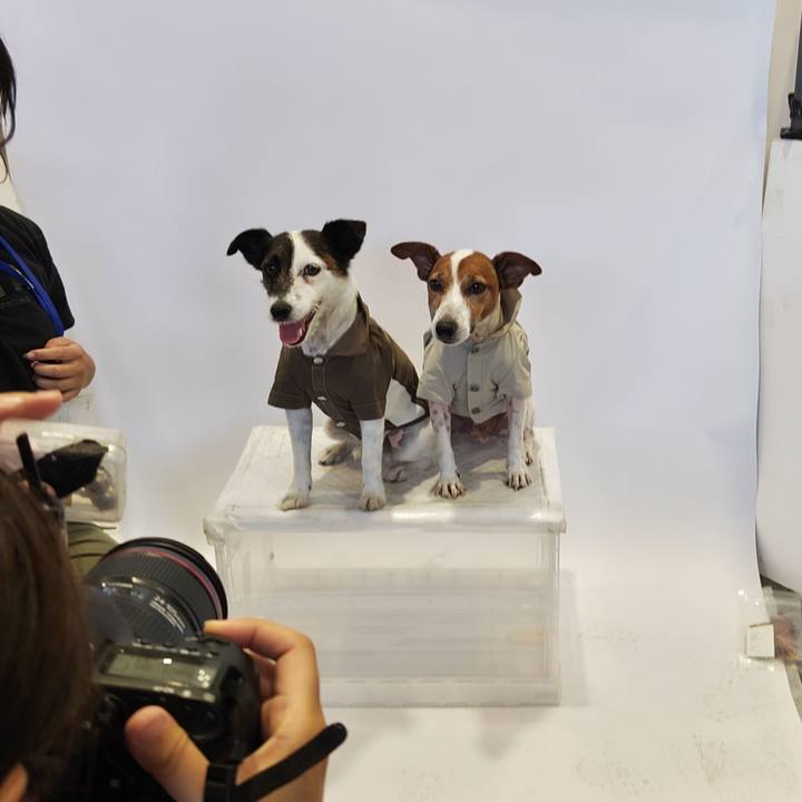 2702494b 24a7 475e 823a 055b927bf745 1721451633250