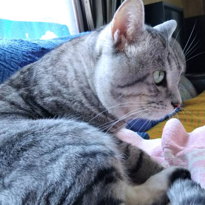 270249c0 e839 4598 8b45 c40961afecd9 1673068016383