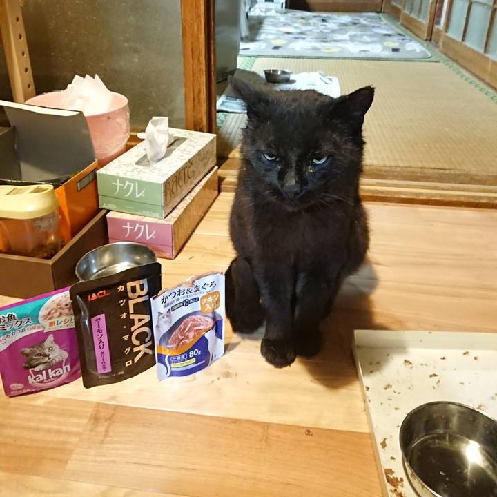 27025ecb 19b1 43c6 b07b 52e9733434f6 1622548921465