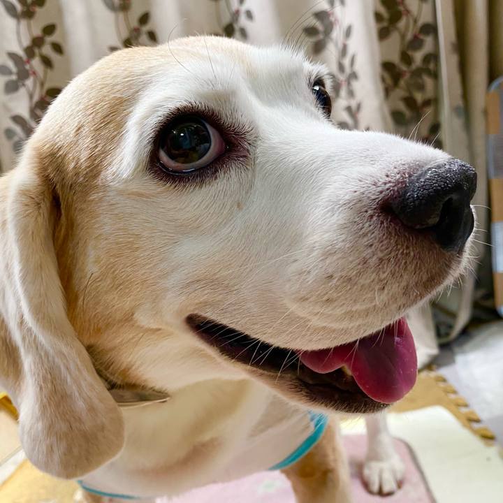 27026203 ce1d 4437 8632 f33e4dba480c 1629777143461