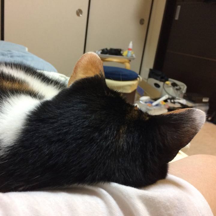 27028d2c 059a 422e 9342 a1ff44de9faf 1593783690208