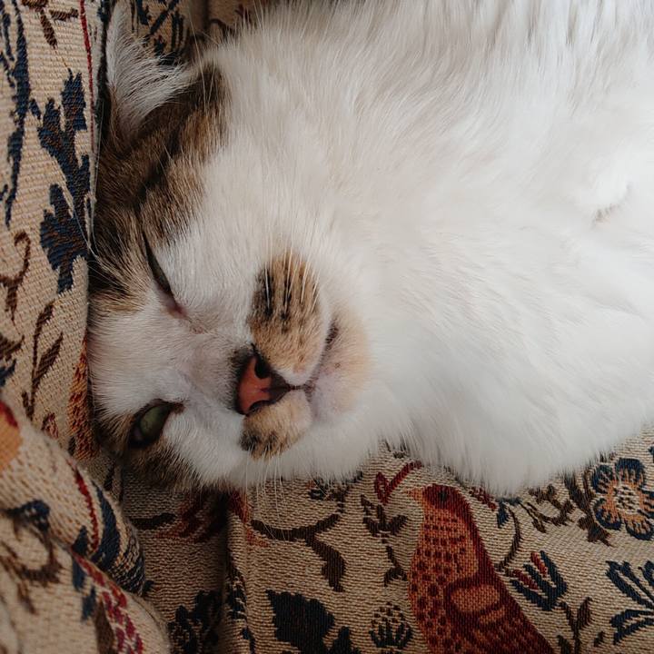 2702a6fd 9be4 4ff6 aede a580e9b6ceb4 1698989662039