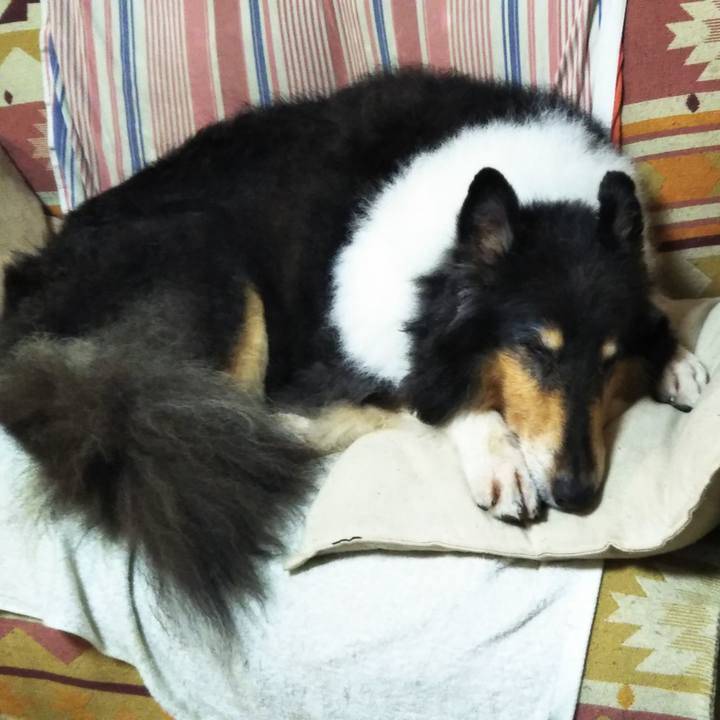 2702ebab ef32 48cd 85d4 a5b47bcd9cec 1569768822111