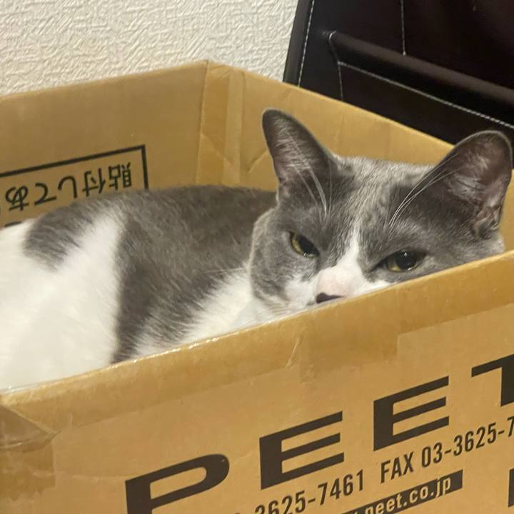 2702f05c 39f7 41c3 aa37 193a8623730b 1631880248499