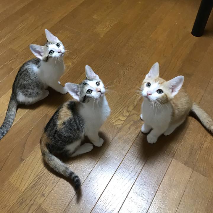 27034ca1 cec2 49d3 b174 0310f2799185 1573202176338