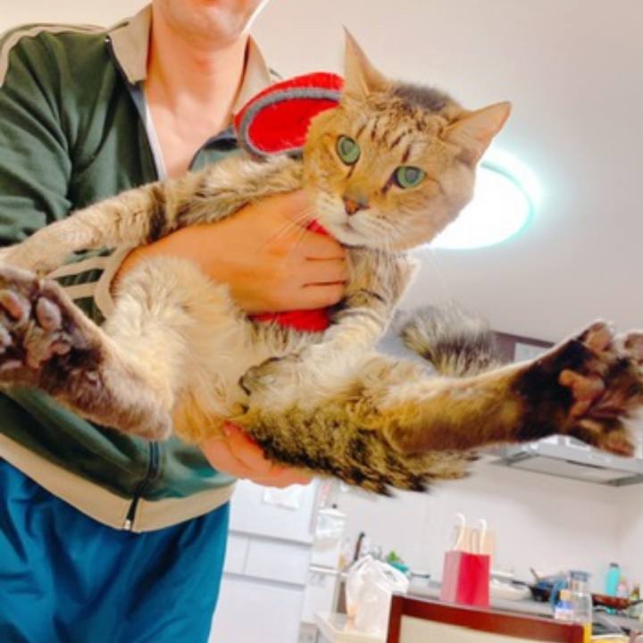 27034cb5 074f 4878 b6bb 95c87383e26c 1697718945585