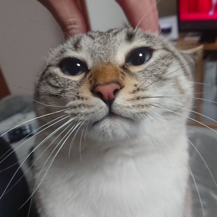 2703a7c3 0574 4da1 af47 d06b0d04832a 1548943683290