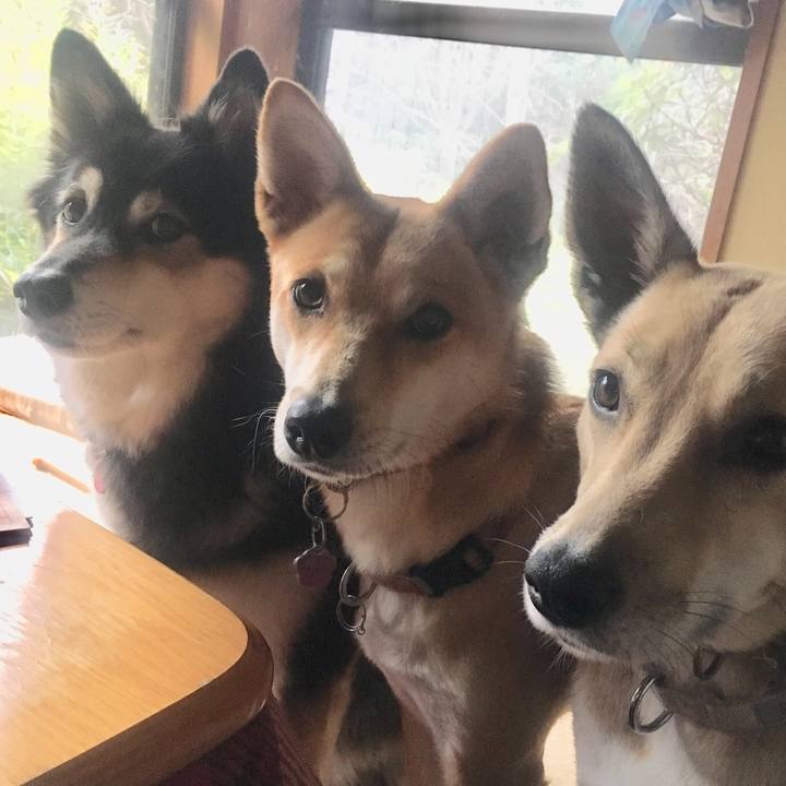 2703bdad 2eb9 47a8 a6f1 0cd0605d2bc2 1544095142617