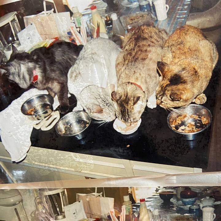 2703c748 39b6 4712 aa31 f5798f056b45 1657415063499