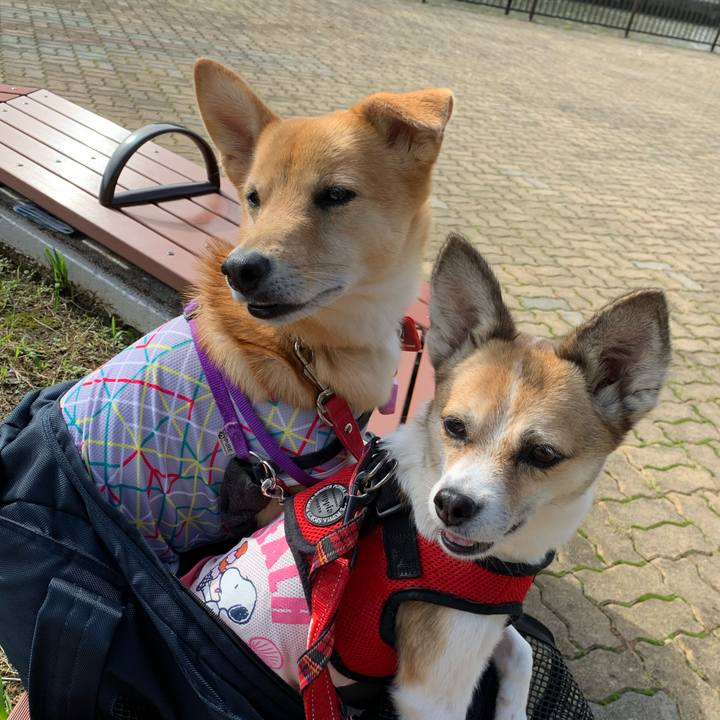 2703e9a6 32e6 47d1 91cd 61fb500f477e 1572225963082