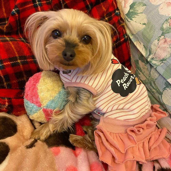 27047085 6fd7 4d05 96d9 42677473dfdc 1614309000045