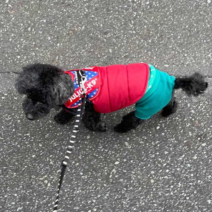 2704a61a 73dc 4370 a4de 97e0aa9144bc 1667258064477