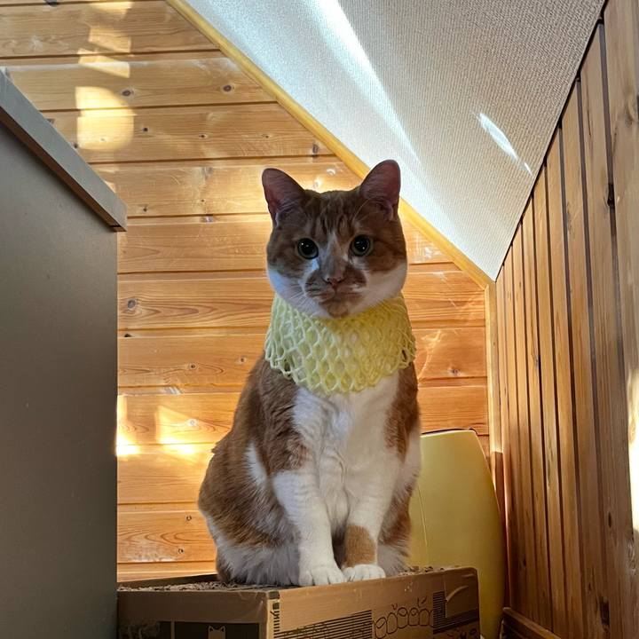 2704b91c 5277 4f36 a252 49b27b5eb7f6 1726263170273