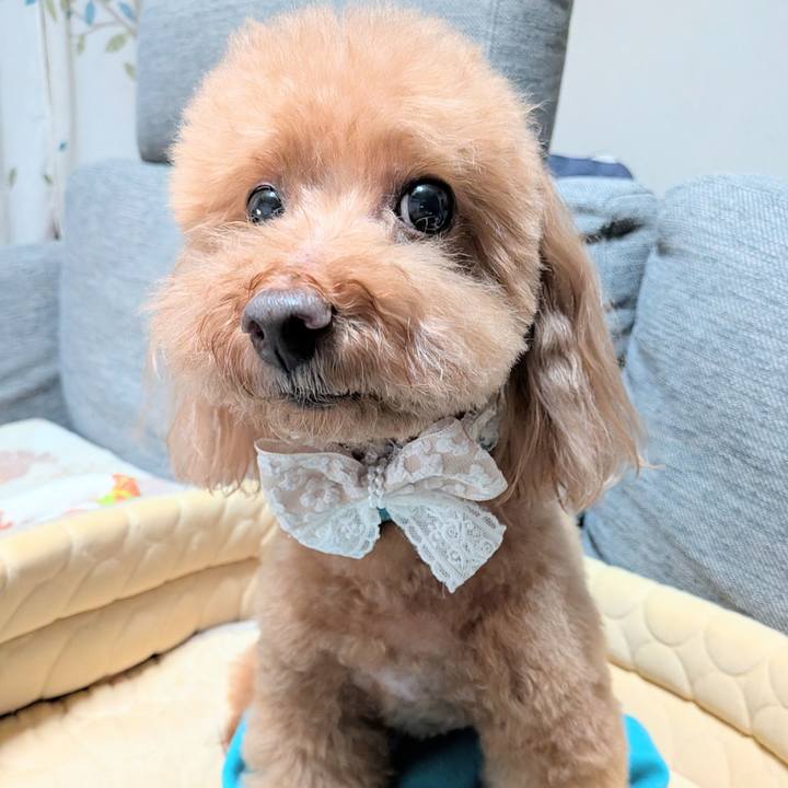 2704c392 2868 4b55 8cd7 1fed07e94bb9 1763111988353