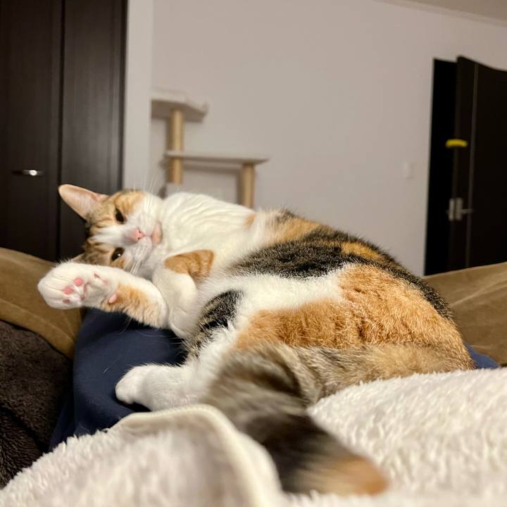 2704c674 e85a 424e 89b3 e926daa133a5 1764728341263