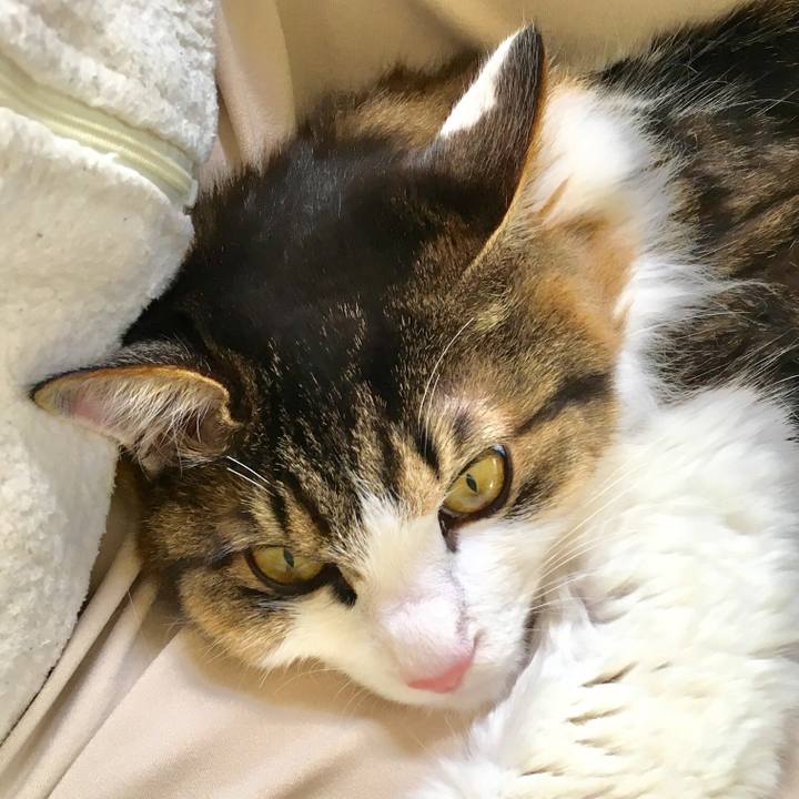 2705083c e0fc 47f2 b44e 058fe274690f 1524284067603