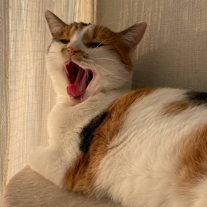 270511e3 0076 4706 9ee8 e1d6558b1e9a 1607607676709