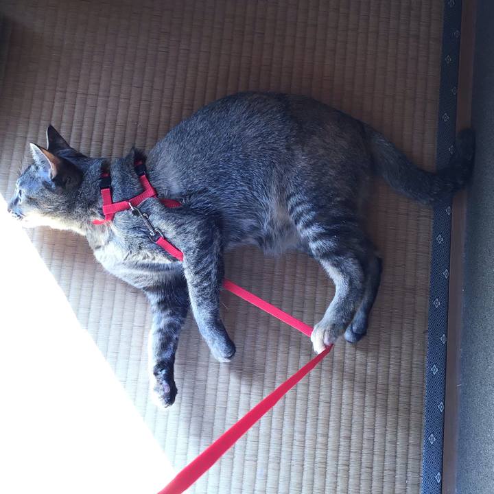 27052914 d0cc 4147 b9c1 d314565719cc 1582938633059