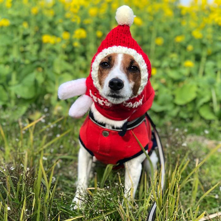 27056128 48db 4887 99e8 2137d6d339c5 1607861310823