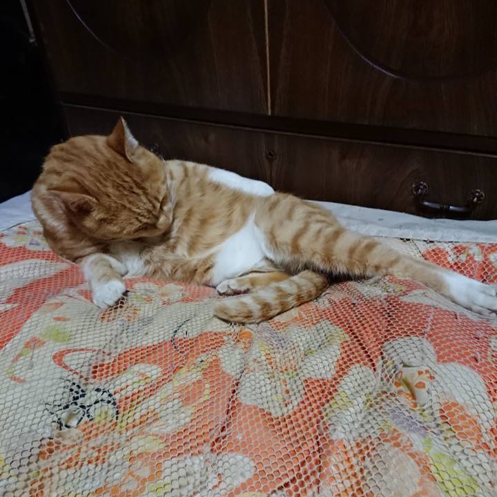 270562e8 be22 4088 b1d1 111b52a57e6d 1573129105977