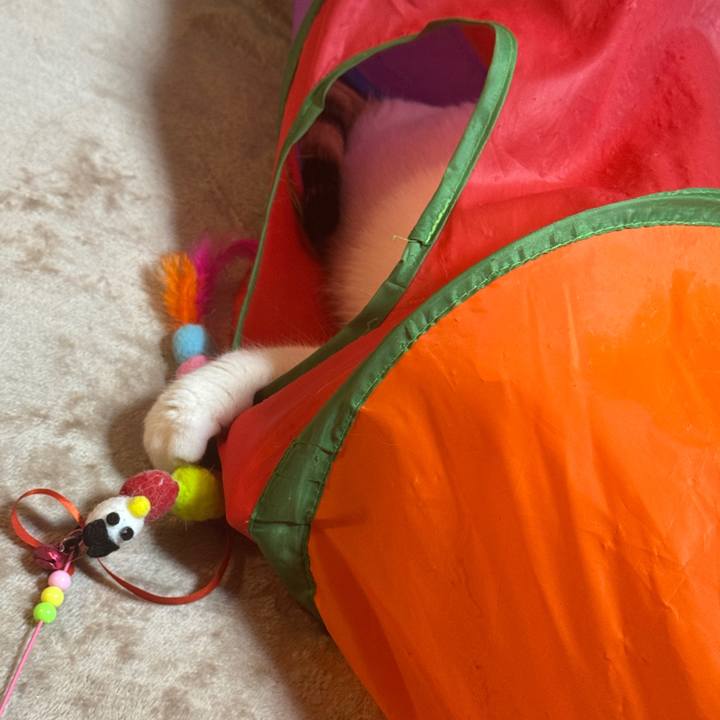 2705b390 760f 45c9 86dc b4eacbde8d91 1762607878448