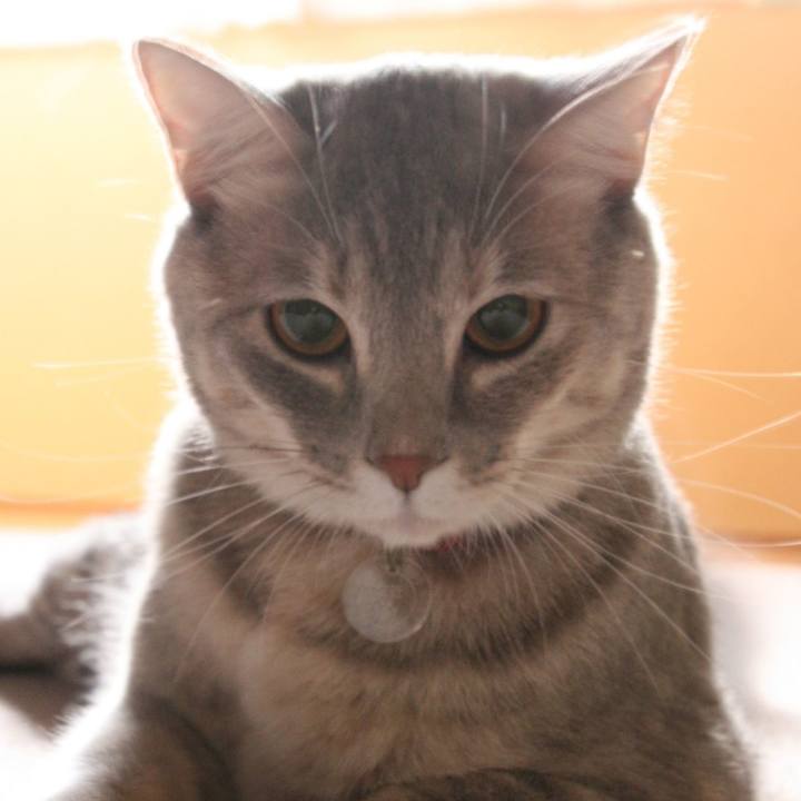 2705d07f 5733 4e89 b366 7eaaad08b7cf 1508890572915