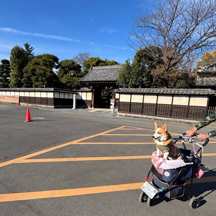 2705dead af76 47a8 aafa fbb4cb2f1a82 1763960195315