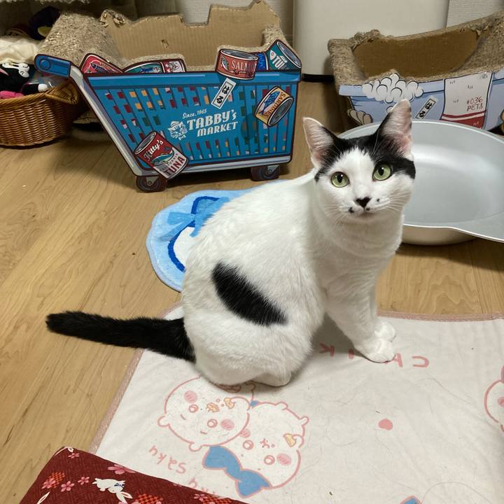 27062360 8942 4d20 978d f6ecd32574d2 1757535130105