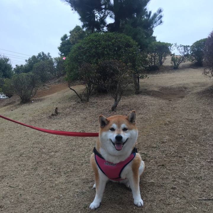 27063085 ad36 4fd3 a2fe b73c7f24249c 1615540131815