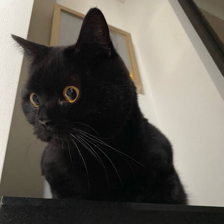 27063d14 4e39 4397 8afd 2206b27c6087 1699093224242