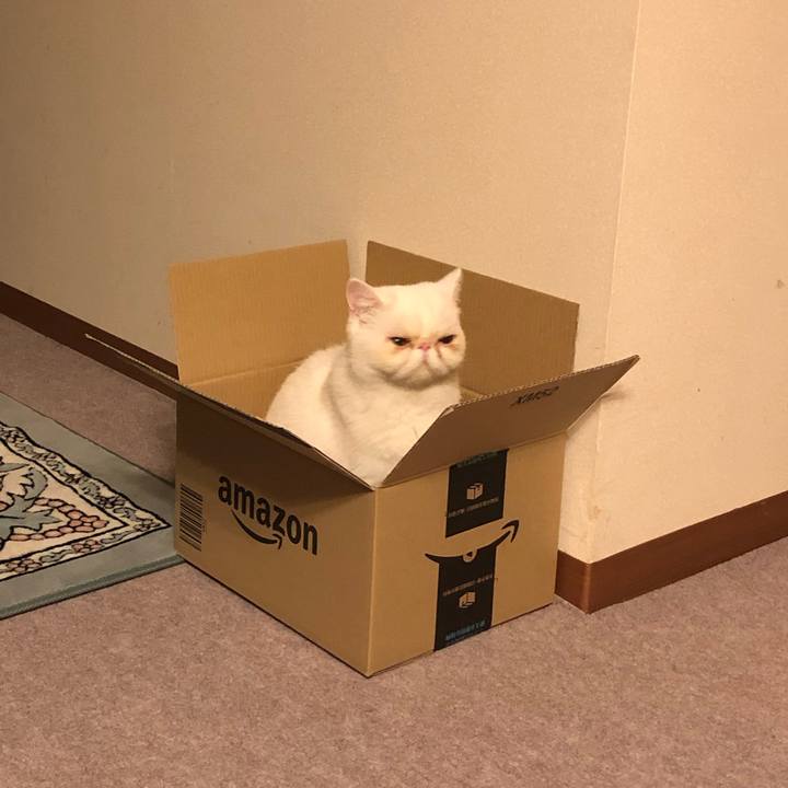 27068392 cca2 42b5 960a fe996f359e87 1572863103972