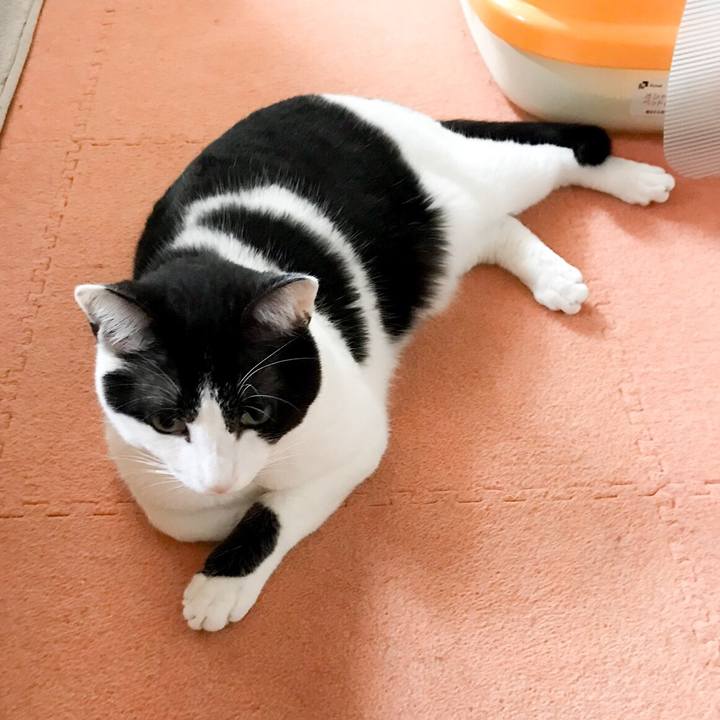 270689e3 bb64 497a 978a 3211815ec083 1524353565142