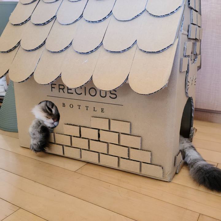 2706a169 1d1c 4744 8a2c 896f4da75c4a 1627862669287