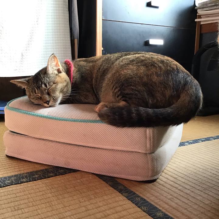 2706b9dd 282e 4a33 af82 faa9718b93de 1598999752627