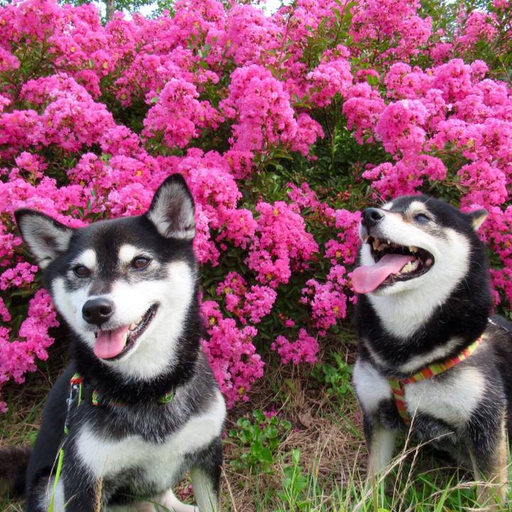 2706b9ef b16c 4b1c 8021 e97e475a576a 1564207032814