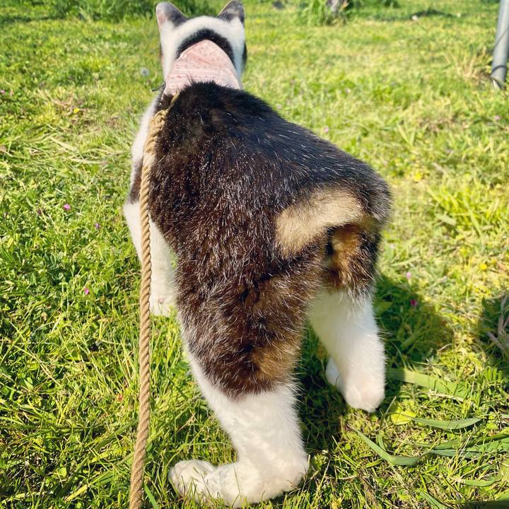 2706c1d9 6890 40eb 91d6 a588876d96da 1618900293202