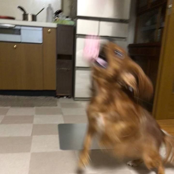 2706e711 ec63 4c74 9b69 732ec1db5cae 1568642671178