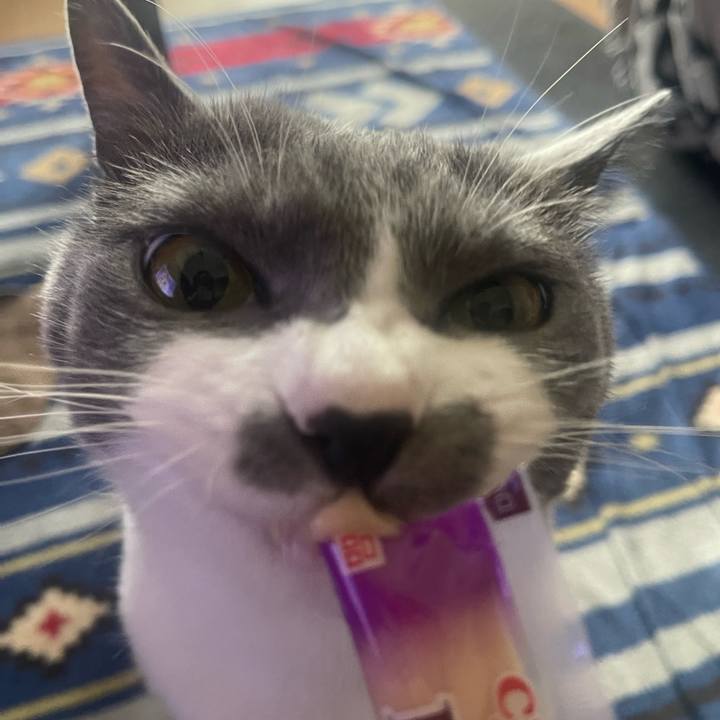 27070ebc bcfd 474e 9760 4b3f7099b6ff 1686466191570