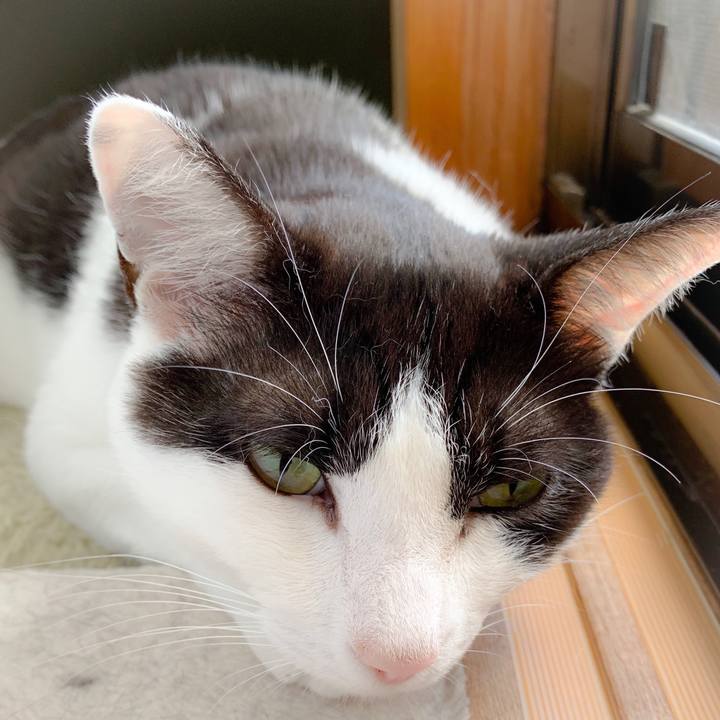 27071ef7 598a 4287 802e f46e49dda03b 1561166828843