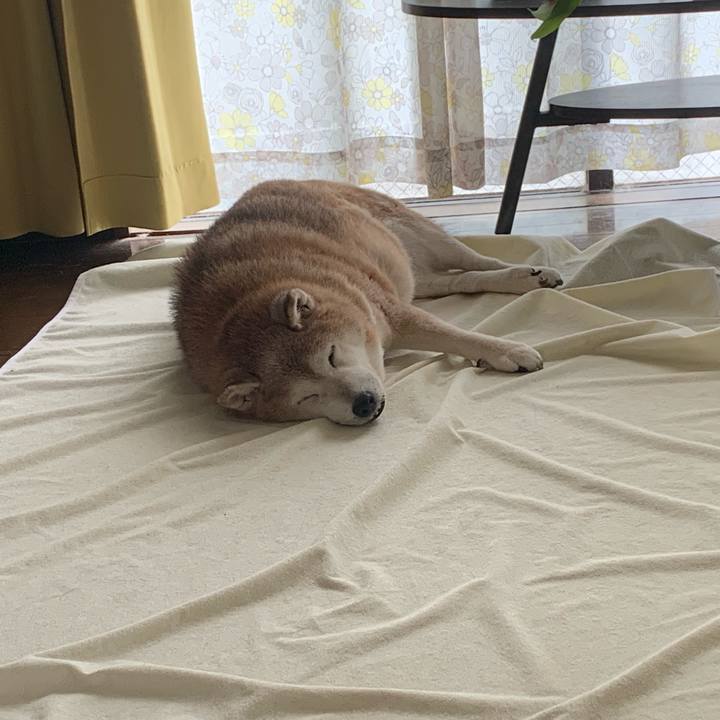 2707424e 3c63 429f b3e7 565beef1cee0 1660278334401