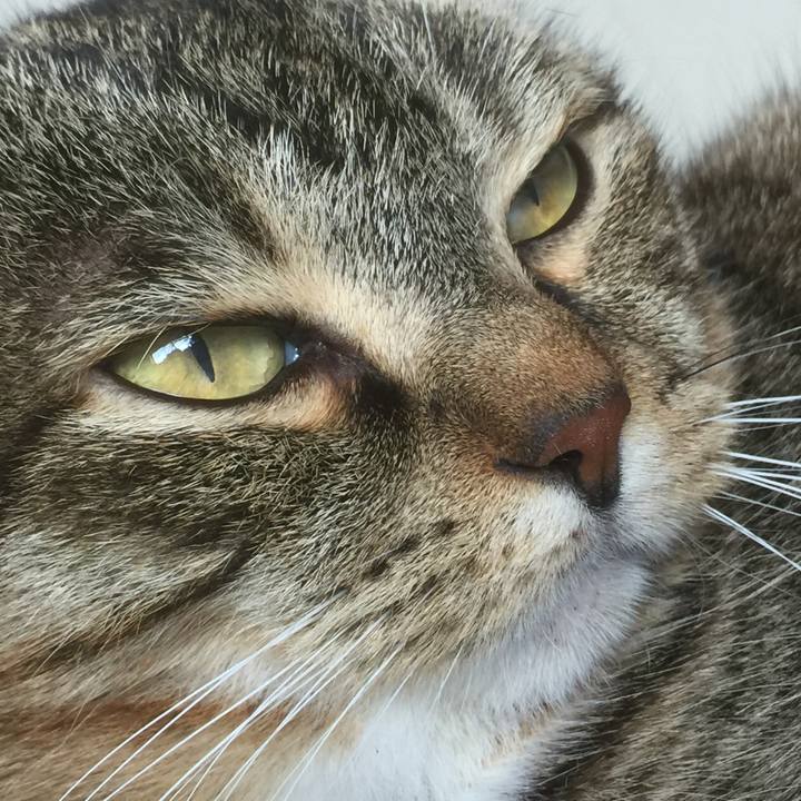 27074e46 bccc 4cba 8a0a 5cbbd20ce86e 1556678924305