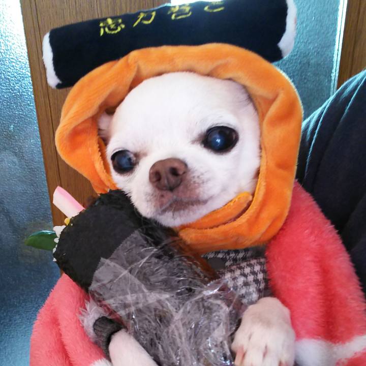 270757aa 44c3 41e3 99d7 ec85693ff003 1549318441869