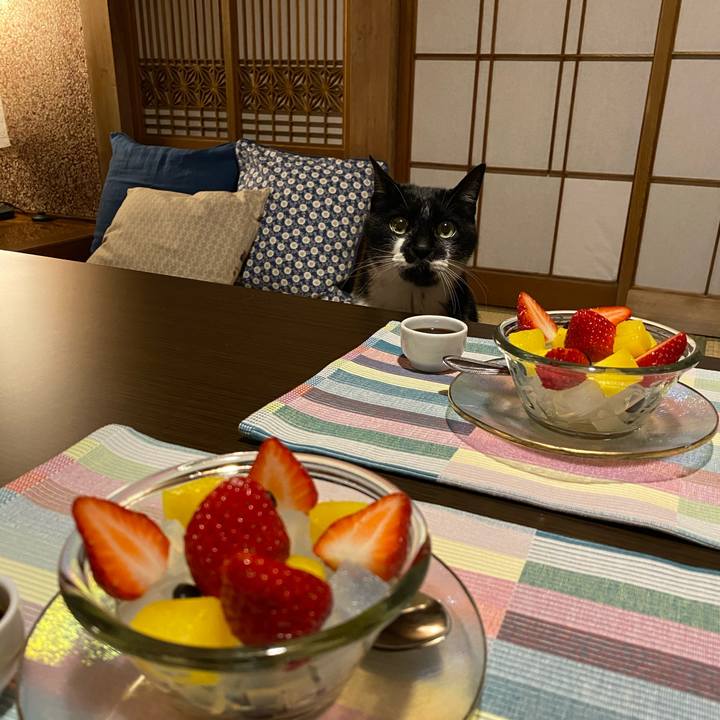 2707b8e3 b8cc 42e3 84a3 c07720c5a3a6 1621083141014