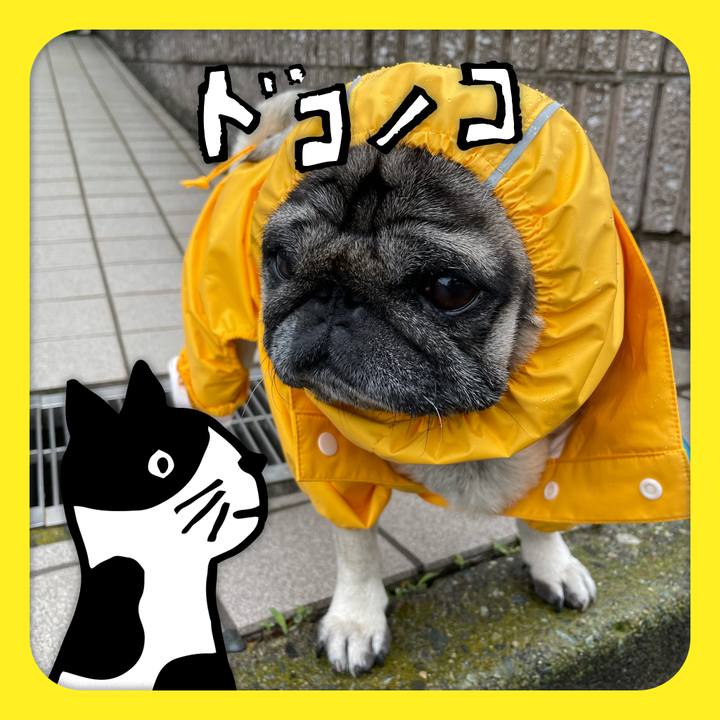 2707f671 a1b4 4c59 9bab c39c8cd12f79 1622952748808