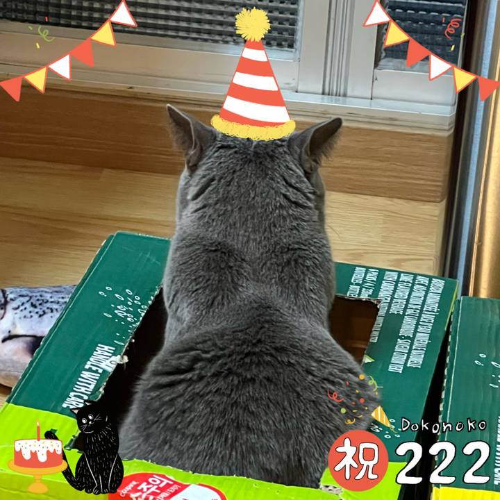 270829c6 be97 4dbc a912 151bc3c096f9 1645495391518