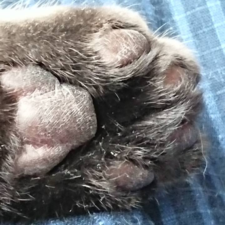 270866f9 20a9 431c b744 bdbe39dc4298 1519385094957