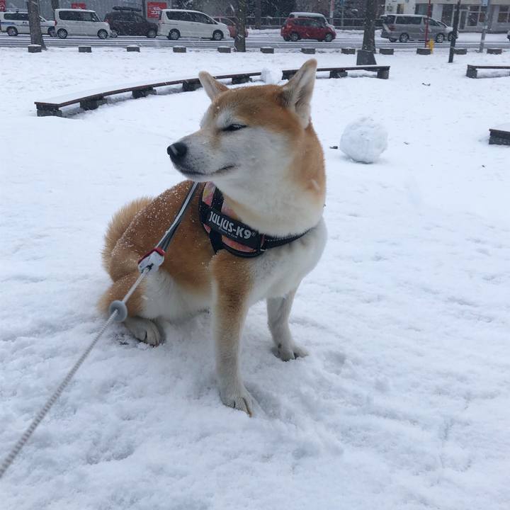 2708c256 e11b 4771 aff7 e2332dcaa283 1580451329409