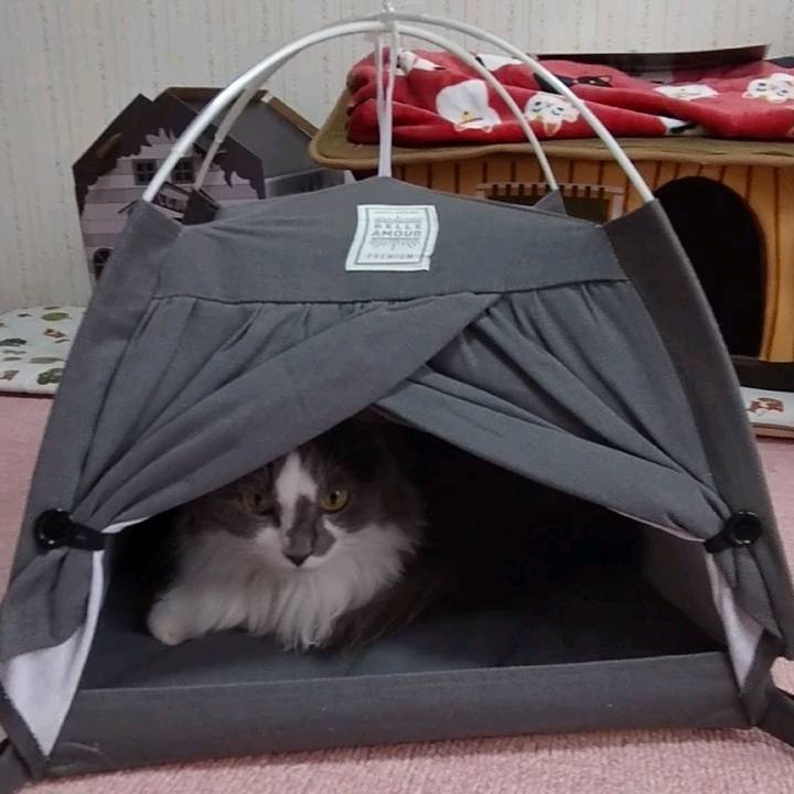 2708ec03 da29 4f60 bb0f c6637ee4b7b5 1631418498928