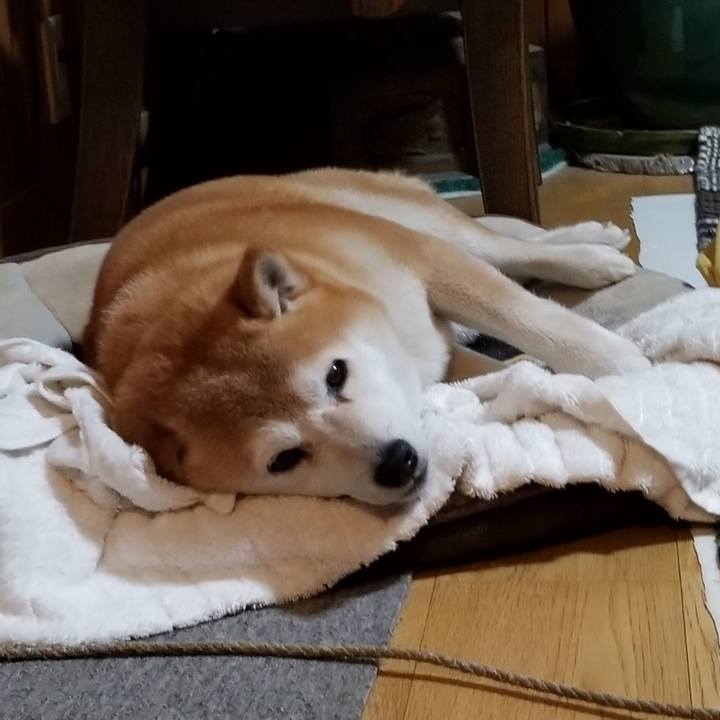 2708f02d ebd1 43c1 999d 32aa376e3290 1652529443136