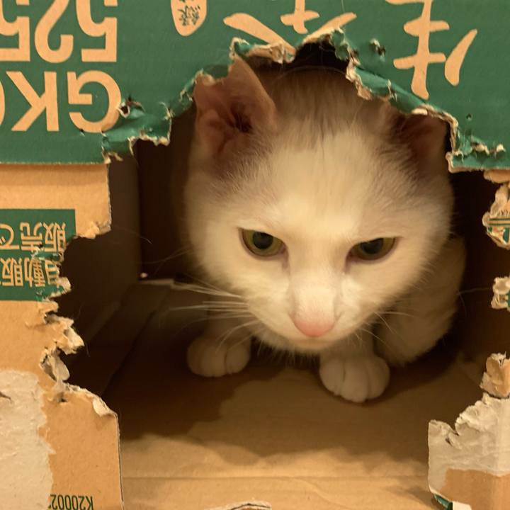 2708f6f8 bfd8 4069 b78a 1e664d876ff0 1588091141286